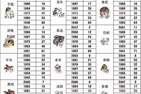 馬年出生年份|属马的出生年份表年龄